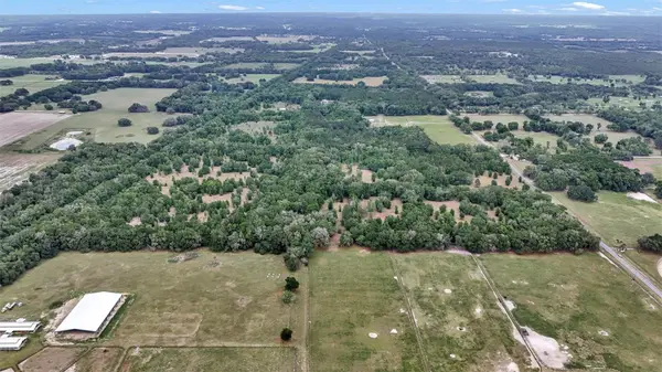 650 NE 200TH AVE, Williston, FL 32696