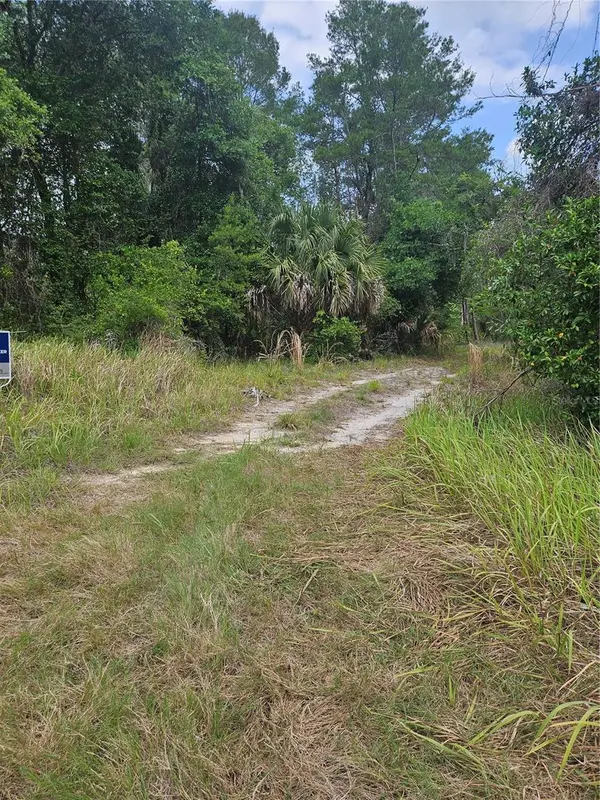 00 CULVER WAY, Geneva, FL 32732