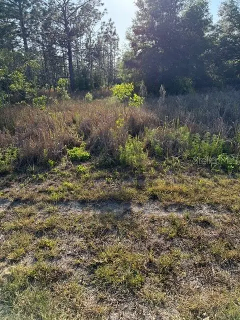 SW 142 CT, Ocala, FL 34481