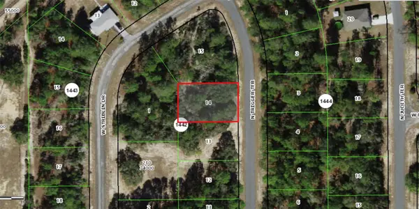 11126 N TRIGGER TER, Citrus Springs, FL 34433
