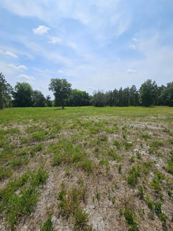 GENEVA WOODS CV, Geneva, FL 32732