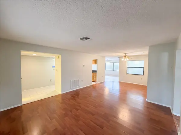 3413 SNOWY EGRET CT, Palm Harbor, FL 34683