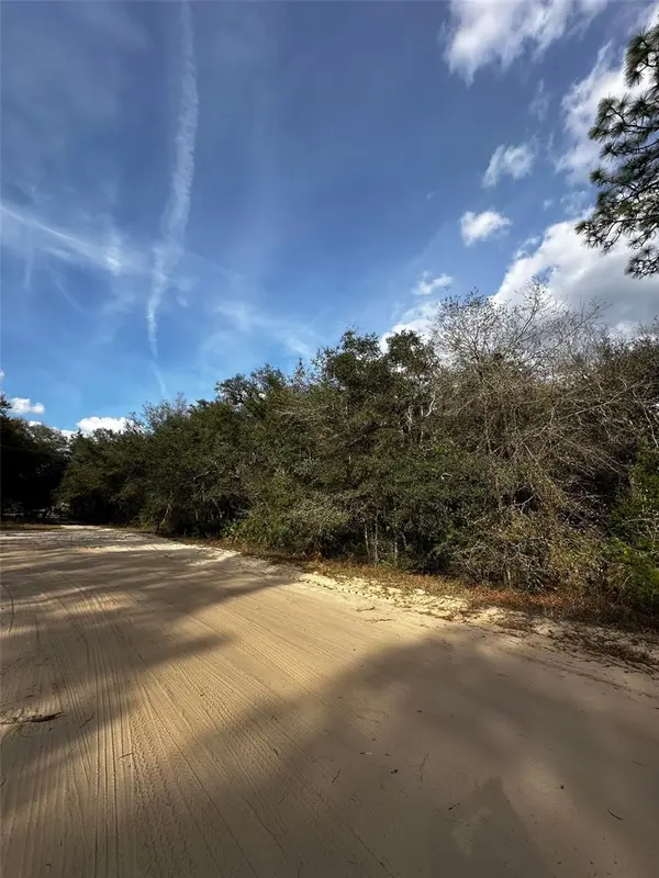 13-10-24-4079-0060-0040, Interlachen, FL 32148