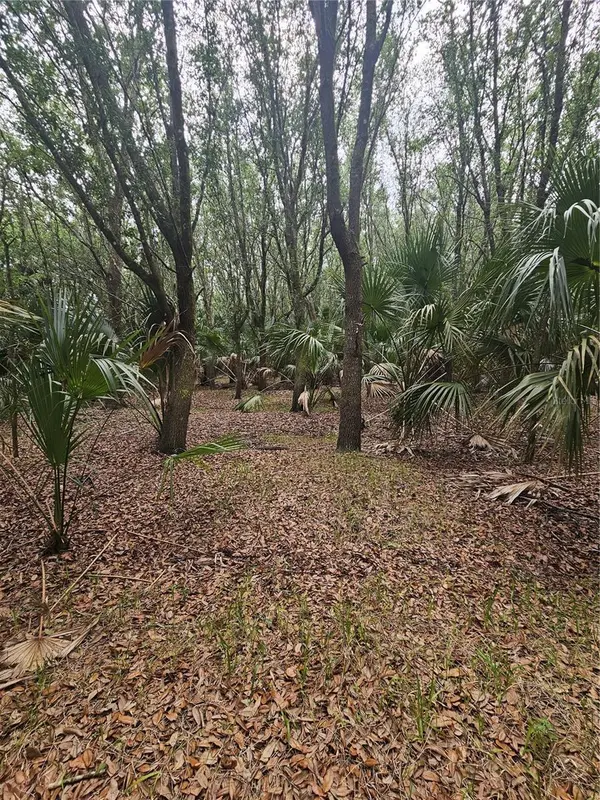 601 HOWARD AVE, Oviedo, FL 32765