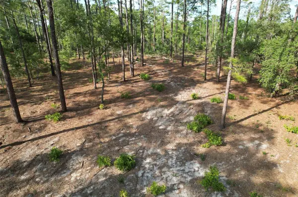 SE 148TH CT, Morriston, FL 32668