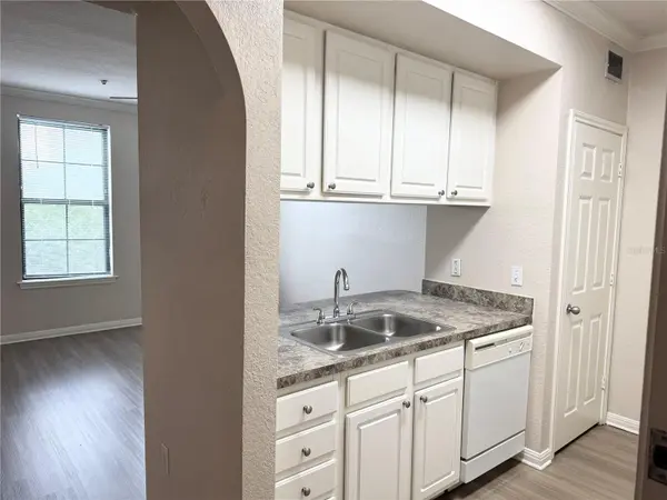 911 N ORANGE AVE #445, Orlando, FL 32801