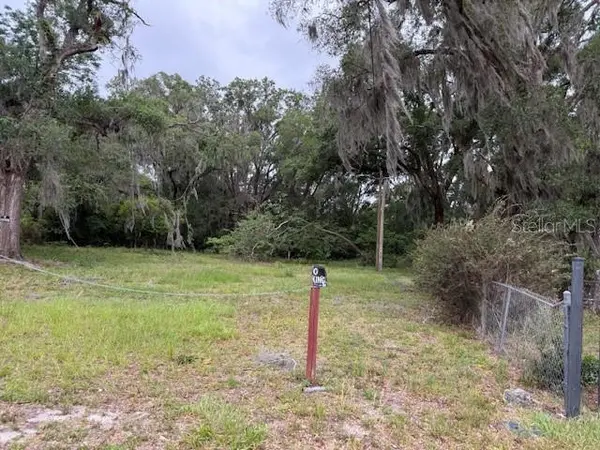 412 YORK ST, Wildwood, FL 34785