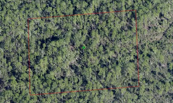 LAKE HARNEY RD, Osteen, FL 32764
