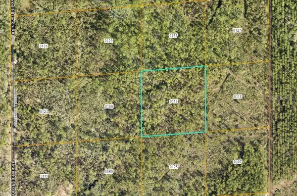 LAKE HARNEY RD, Osteen, FL 32764