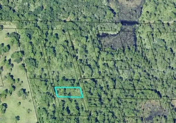 20G-34-03-AI-5-3.19, Mims, FL 32754