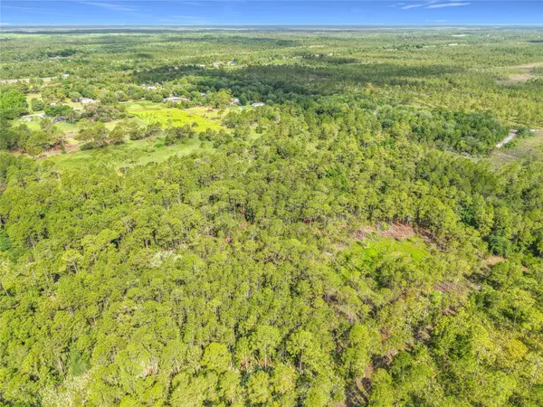 20G-34-03-AI-5-3.19, Mims, FL 32754