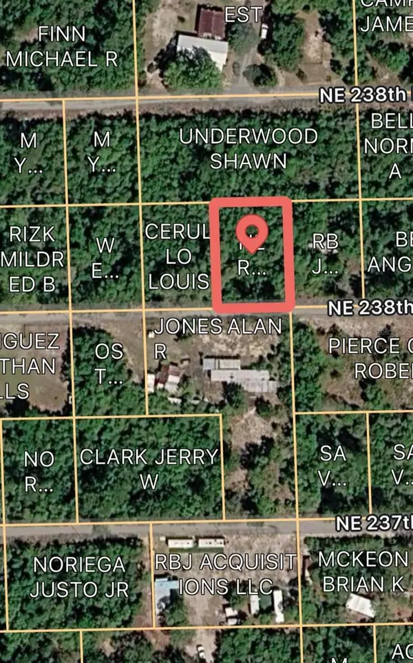 15589 NE 238TH ST, Fort Mc Coy, FL 32134