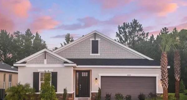 33320 CASTAWAY LOOP, Wesley Chapel, FL 33543