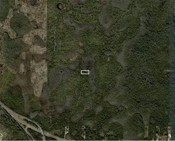 DILL RD, Orlando, FL 32820
