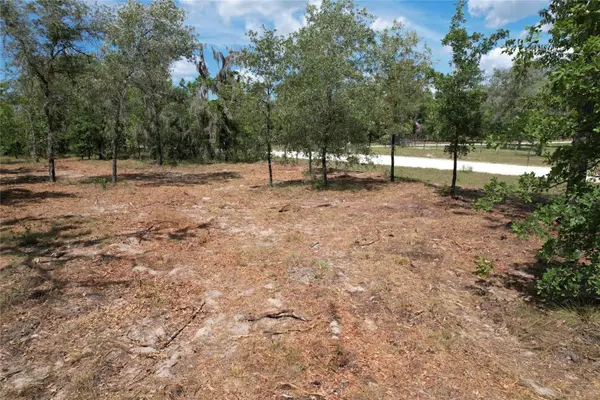 SE 53RD LN, Morriston, FL 32668