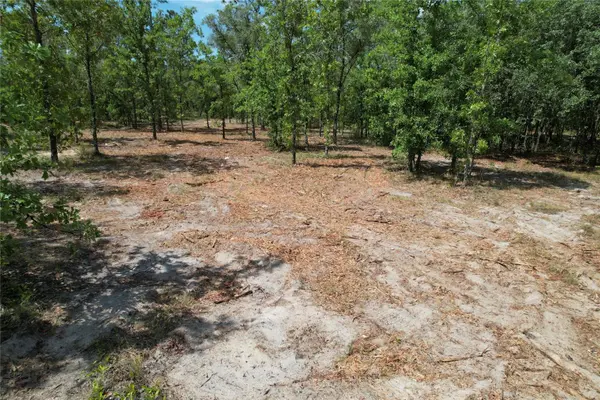 SE 53RD LN, Morriston, FL 32668