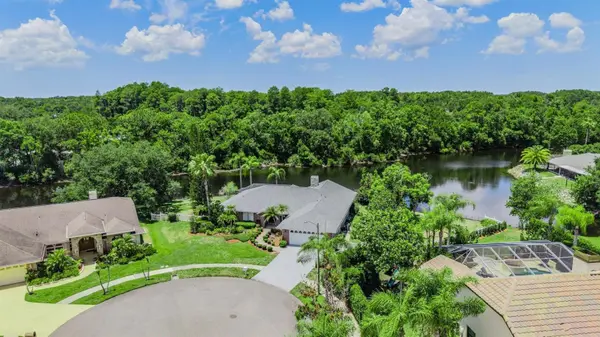 3817 NICHOLAS CIR, Tarpon Springs, FL 34688