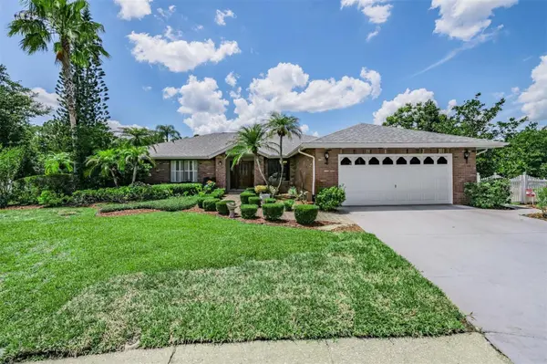3817 NICHOLAS CIR, Tarpon Springs, FL 34688