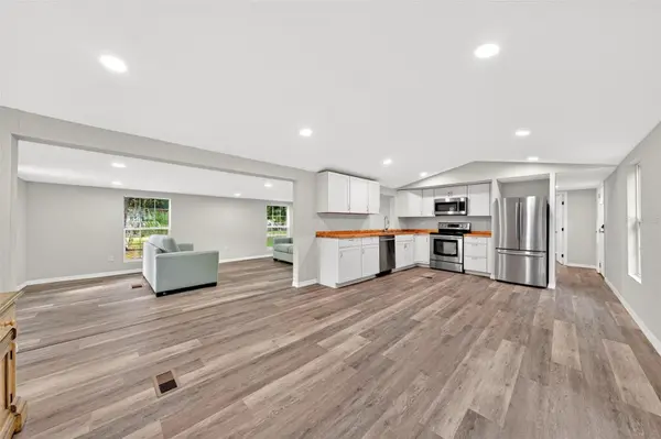23939 NE 121 LN, Salt Springs, FL 32134