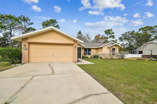 11 CARNATION CT E, Homosassa, FL 34446