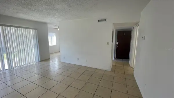 7502 NEEDLE LEAF PL #66, Tampa, FL 33617