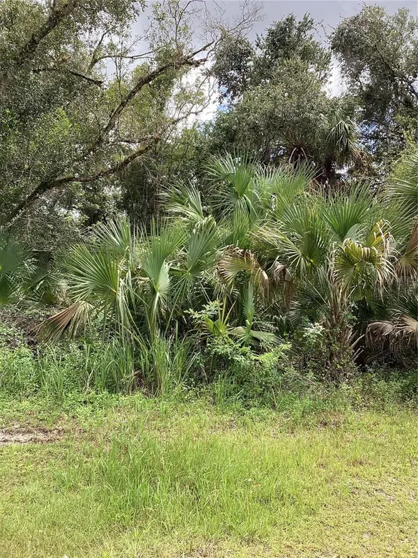 MARCH LN, Labelle, FL 33935