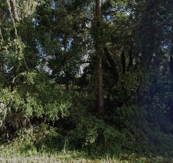 NE 234TH PLACE RD, Fort Mc Coy, FL 32134