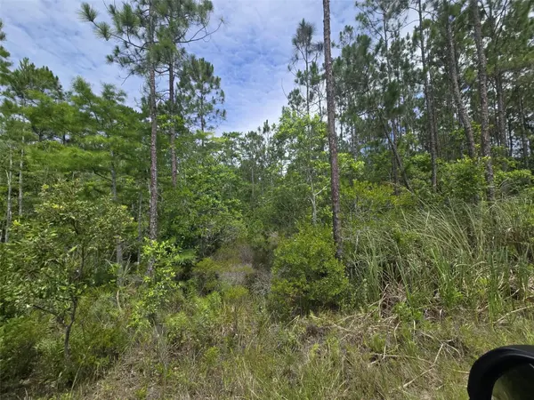 1135 OMEGA RANCH RD #4&5, New Smyrna Beach, FL 32168