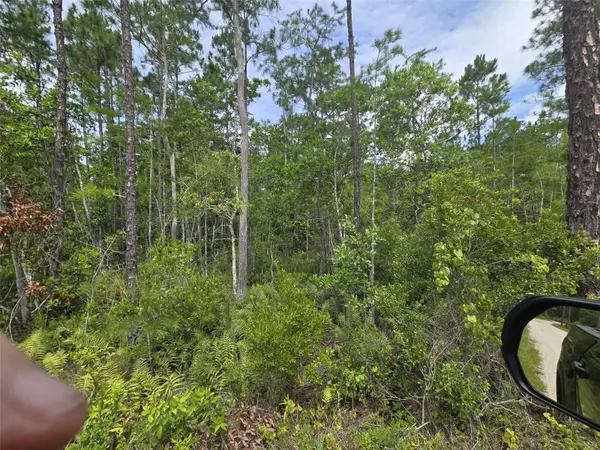 1135 OMEGA RANCH RD #4&5, New Smyrna Beach, FL 32168