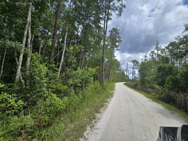 1135 OMEGA RANCH RD #4&5, New Smyrna Beach, FL 32168