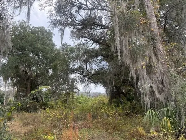 SE 175TH TER, Silver Springs, FL 34488
