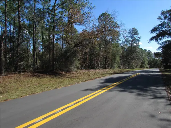 Lot 18 SW 156 ST, Ocala, FL 34473