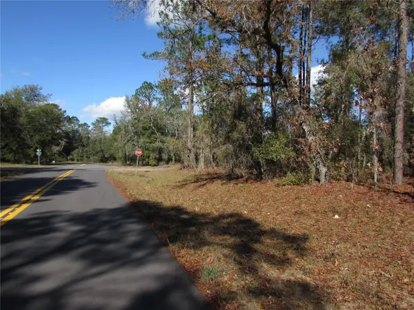 Lot 18 SW 156 ST, Ocala, FL 34473