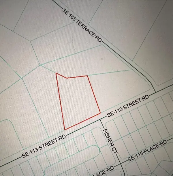 TBD SE 113TH STREET ROAD, Ocklawaha, FL 32179