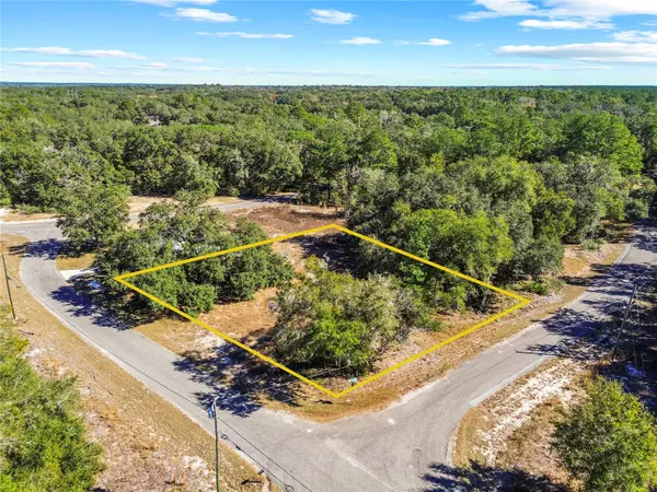 0 GUAVA TERRACE PLACE & BAY PLACE RUN, Ocklawaha, FL 32179