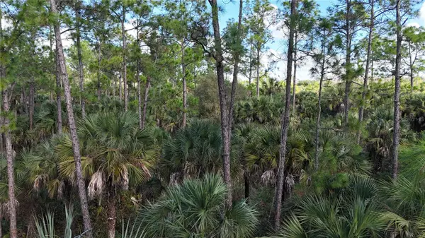 16TH AVE SE, Naples, FL 34117