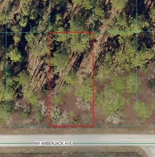 NW AMBERJACK AVE, Dunnellon, FL 34431