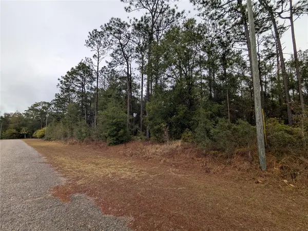 2737 W BLINK DR, Citrus Springs, FL 34434