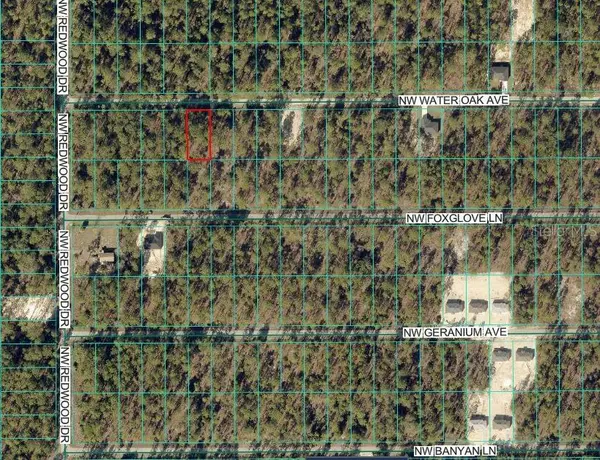 24394 NW WATER OAK AVE, Dunnellon, FL 34431