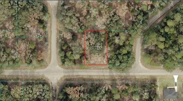 TBA GUAVA PASS, Ocklawaha, FL 32179