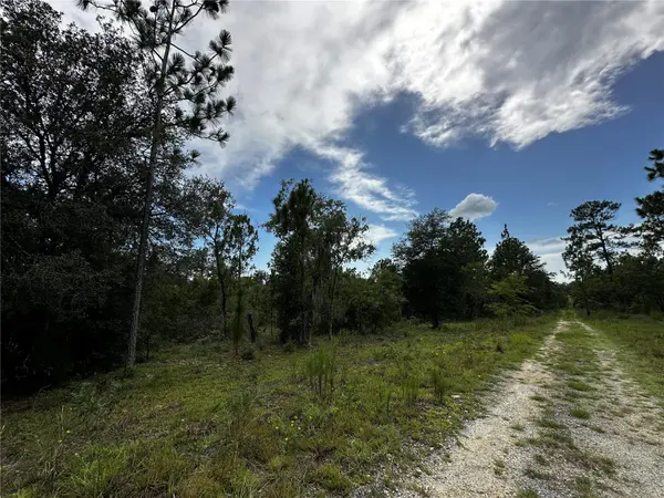 TBD NE 16TH LN, Williston, FL 32696