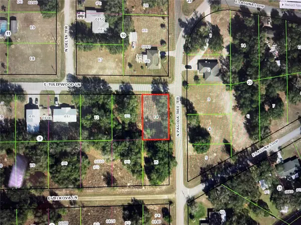 3798 E TULIPWOOD LN, Hernando, FL 34442