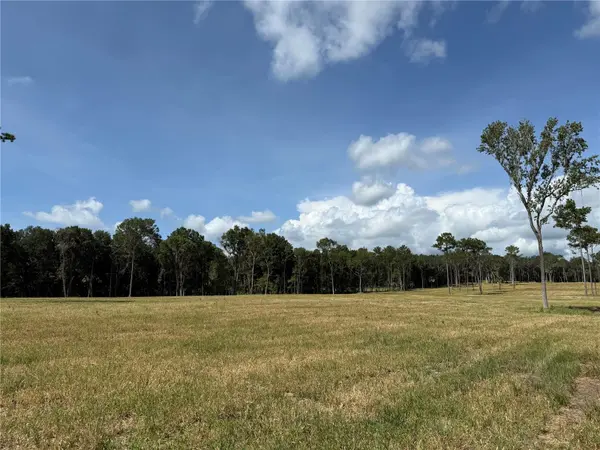 DR #3 (10ac) NW 193RD ST, Micanopy, FL 32667