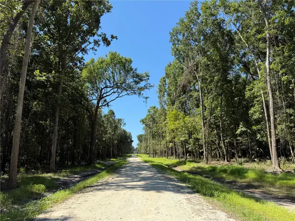 DR #3 (10ac) NW 193RD ST, Micanopy, FL 32667