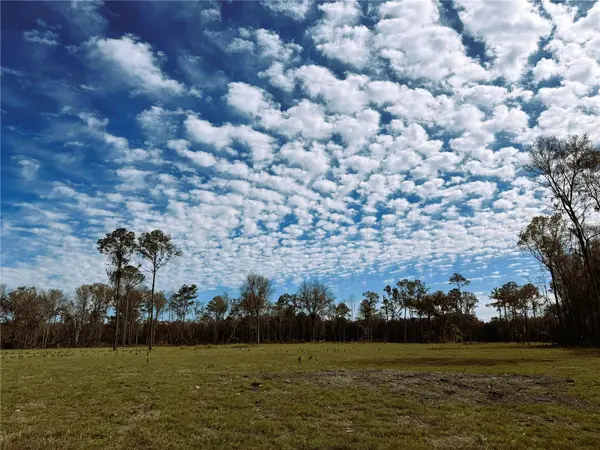 DR #3 (10ac) NW 193RD ST, Micanopy, FL 32667