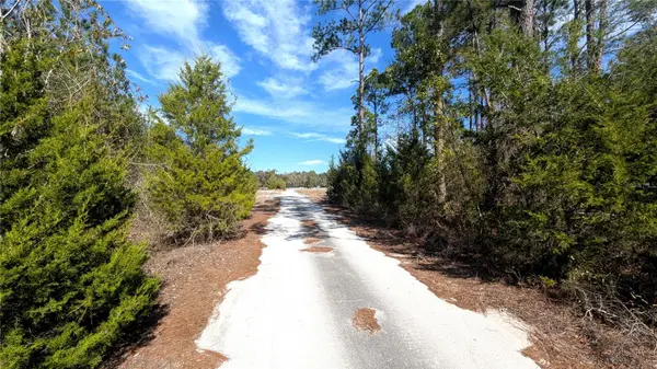 13550 NW OLD FANNIN RD, Chiefland, FL 32626