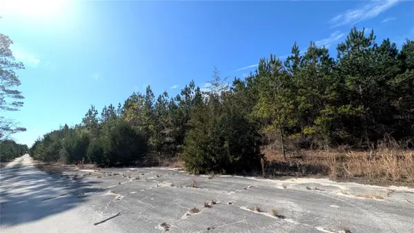 13550 NW OLD FANNIN RD, Chiefland, FL 32626