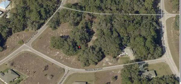 TBD MALAUKA RUN COURT, Ocklawaha, FL 32179