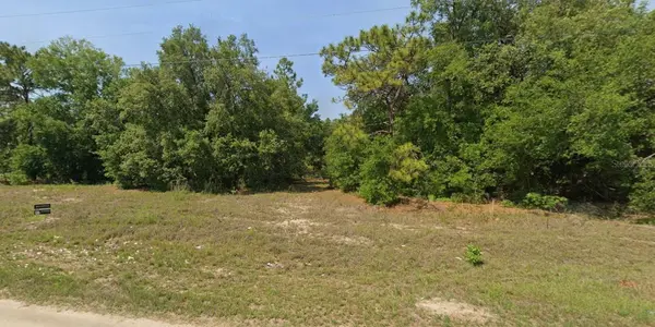 TBD MALAUKA RUN COURT, Ocklawaha, FL 32179