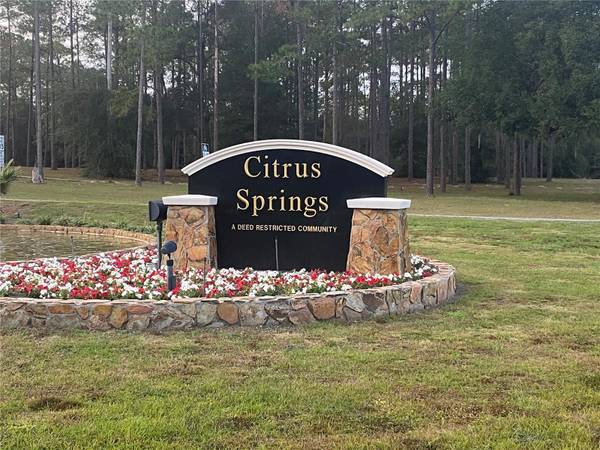 1782 E UTAH LN, Dunnellon, FL 34434